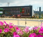 Saturday's racing is at Busan 27 03 2021 Korea