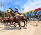 Saturday's racing is at Busan 20-03-2021
