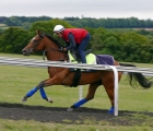 enable-in-training-before-the-king-george-23-luglio-2020-uk