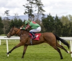 winning-filly-and-irish-1000-guineas-fourth-star-girls-aalmal-is-among-the-entries-for-goffs-london-sale-2022