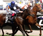 vow-and-declare-melbourne-cup-5-11-2019