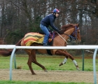 saffron-beach-saddled-abi-harrison-craven-st-13-04-2021