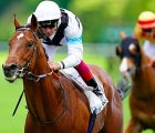 A segno Sestilio Jet nel Prix de Saint Georges, trainer Andrea Marcialis, in sella Frankie Dettori 12 05 2019