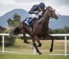 anthony-van-dyck-test-for-derby-11-05-2019