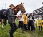 Country House Out of Preakness with fever