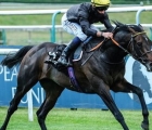 english-king-coolmore-prospect-in-june-2020_0