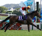 yasuda-kinen-2020-gran-alegria-jra-07-06-2020-japan