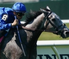 althiqa-storms-home-to-beat-summer-romance-in-g1-just-a-game-belmont-park-usa-on-saturday-5-june