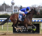 good-second-for-antoinette-in-g2-fleur-de-lis-stakes-acqueduct-usa