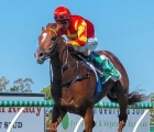 at-flemington-wisdom-of-water-headwater-is-engaged-in-the-danehill-stakes-gr-2-vinery-stud-aus-11-09-2020