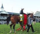authentic-draws-nine-for-preakness-usa-28-09-2020