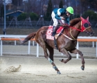 Four-Time President’s Cup Winner Triple Nine Has Been Retired, KOREA, 25 09 2020