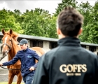 Goffs Orby and Sportsman’s Sales, Doncaster, 19 09 2020, UK