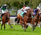 irish-yearling-season-begins-in-newmarket-uk-21-09-2020_0