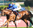 Shamardal’s Earthlight Back on Point at ParisLongchamp, 13 09 2020 FRA