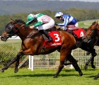 duke-of-hazzard-produces-a-potent-turn-of-foot-to-win-the-celebration-mile-goodwood-24-aug-2019