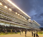 korea-seoul-saturday-race-by-race-preview-august-24
