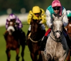 york-ebor-festival-meeting-day-1-21-aug-2019-logician-as-low-as-7-4-for-st-leger-after-impressive-great-voltigeur-success
