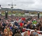 epatante-and-barry-geraghty-return-after-winning-the-champion-hurdle-cheltenham-10-03-2020