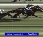 fotofinish-with-samcro-that-edges-out-melon-cheltenham-12-03-2020