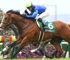 tower-of-london-finish-third-on-his-appearance-in-the-g3-ocean-stakes-over-six-furlongs-at-nakayama-japan-on-saturday-7-march