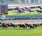 beat-the-clock-wins-the-hong-kong-sprint-at-sha-tin-08-12-2019