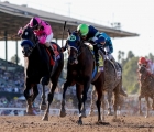 storm_the_court 11_01_2019_bc 2019_web_credit_breeders_cup_eclipse_sportswire