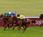courageous-displays-in-defeat-from-hurricane-lane-and-adayar-in-g1-arc-03-10-2021