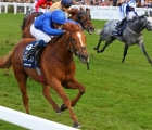 creative-force-secures-first-g1-with-impressive-british-champions-sprint-uk-16-10-2021