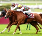 qatar-arabian-trophy-des-juments-le-grand-jour-de-teema-parislongchamp-02-101-2021-fra