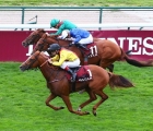 torquator-tasso-wins-arc-2021-ternawa-second-hurricane-lane-third