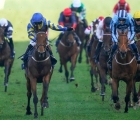 trueshan-left-side-won-the-long-distance-cup-for-the-second-time-uk-ascot-16-10-2021