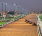 5-12-19_Riyadh_king_abdulaziz_racetrack