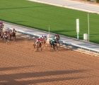 6-12-19_Riyadh_king_abdulaziz_racetrack