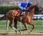 Australia-lake-avenue-dominant-victory-g2-demoiselle-stakes-on-dirt-at-aqueduct-usa-on-saturday-7-december