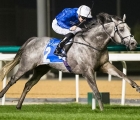 major-partnership-recorded-a-second-turf-handicap-win-at-meydan-uae-when-decisively-taking-the-newly-upgraded-listed-meydan-challenge-over-seven-furlongs-on-thursday-2-january