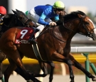 Japan-Polar-summer-was-successful-in-a-nakayama-maiden-on-sunday-1-december