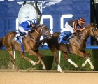 the-group-3-dubawi-stakes-was-the-feature-and-did-not-disappoint-with-satish-seemar-saddling-the-winner-meydan-02-01-2020