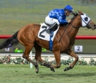 USA-unbeaten-alms-shines-in-g3-jimmy-durante-stakes
