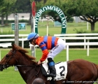 Hingol con in sella Gregorio Arena vince il Premio Avvenire