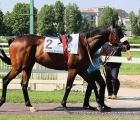 Candiani Street al tondino del Premio Trenno