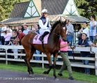 Great Ventura con in sella Silvano Mulas al tondino delle Oaks D'Italia (G2) 