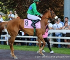 Paiardina con in sella marco Monteriso al tondino delle Oaks D'Italia (G2)