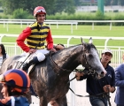 Grey Greezly con in sella Fabio Branca, rientra vincitore, accolto dal suo team