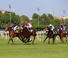 L'arrivo delle Oaks d'Italia 2019: Lamaire (giubba Dormello Olgiata) con in sella Fabio Branca sferra l'attacco vincente a Must Be Late all'interno