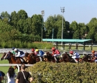 All'esterno in giubba verde, Atzeni in sella a Malotru sferra l'attacco ai 1000 metri per vincere il Premio Primi Passi 2019