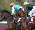 enable-and-stradivarius-finish-unplaced-in-the-arc-with-the-ground-and-pace-to-blame-04-10-2020-fra-longchamp