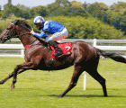 g1sw-mohaather-to-stand-at-nunnery-stud-06-10-2020