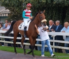 Dario Vargiu in sella a Money Drop al tondino del Premio Coolmore 