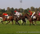 Ming Zhi Cosmos vince il Premio Sergio Cumani, davanti a Love Happens e terza è Lady Dutch